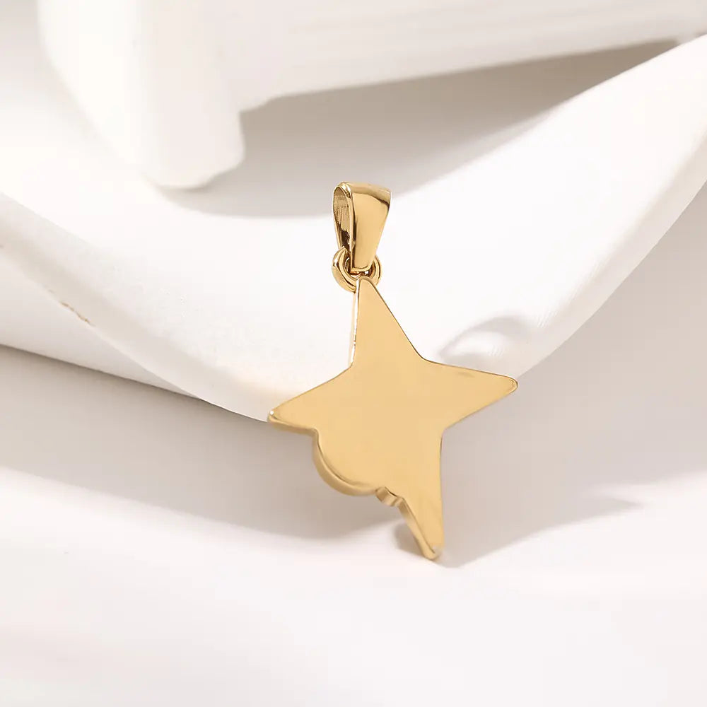 Luxury Fashion Stainless Steel Geometric Pendant    EJ25N06607G